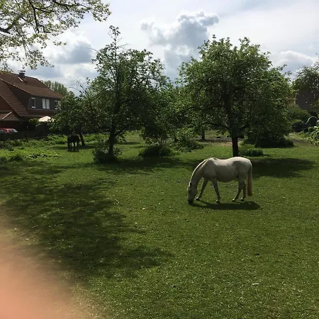 Hotellerie Schubert Hotel