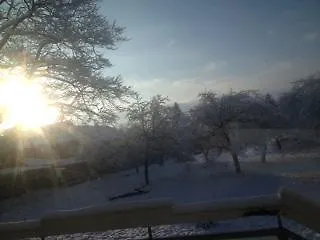 酒店 舒伯特盖斯豪斯酒店 加尔布森